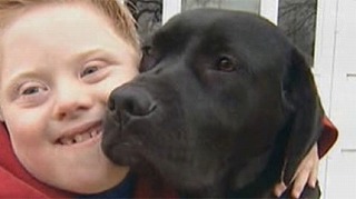 難聴のダウン症のある子供 聴導犬を連れて学校へ Ds21 Info