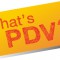 PDVを上げることが重要なわけ（世界ダウン症の日2015に寄せて）